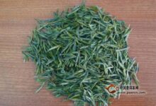 汀溪兰香喝起来怎么样-茗扬网