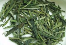 普洱茶和汀溪兰香茶的区别-茗扬网