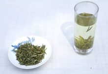 喝大悟寿眉茶对身体有什么好处-茗扬网
