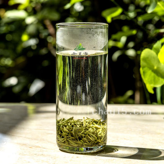 青城雪芽的功效与作用 青城雪芽什么时候喝最好