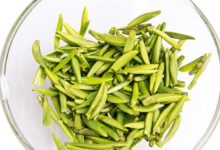 饮用青城雪芽注意事项有哪些-茗扬网