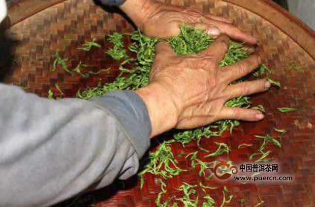 青城雪芽茶叶制茶工艺