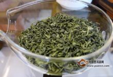 青城雪芽的储存方法-茗扬网