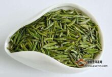 青城雪芽的泡法-茗扬网