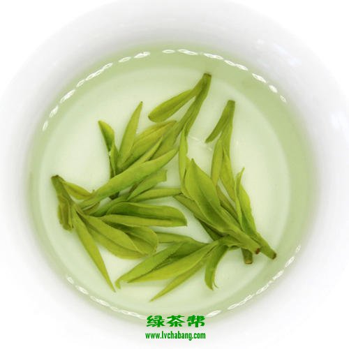 青城雪芽的功效与作用 青城雪芽怎么样