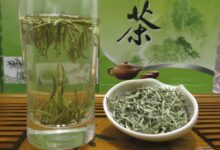 江华毛尖功效与作用-茗扬网