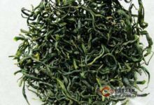 江华毛尖功效-茗扬网