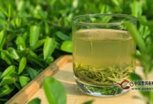 江华毛尖功效与禁忌-茗扬网