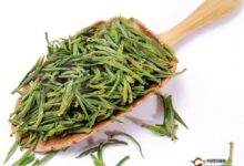 江华毛尖作用-茗扬网