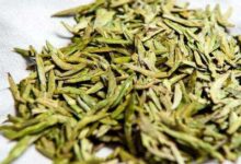 州碧云的功效与禁忌事项-茗扬网