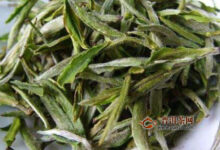 郴州碧云功效与作用-茗扬网