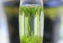 州碧云如何存放-茗扬网