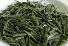 喝南安石亭绿茶对身体有什么好处-茗扬网