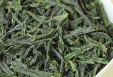 南安石亭绿的功效与禁忌事项-茗扬网