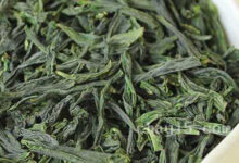 南安石亭绿的功效与作用 南安石亭绿的泡法-茗扬网