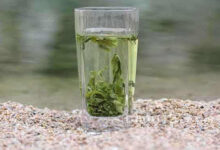 南安石亭绿的冲泡方法，7步泡出好喝的南安石亭绿-茗扬网