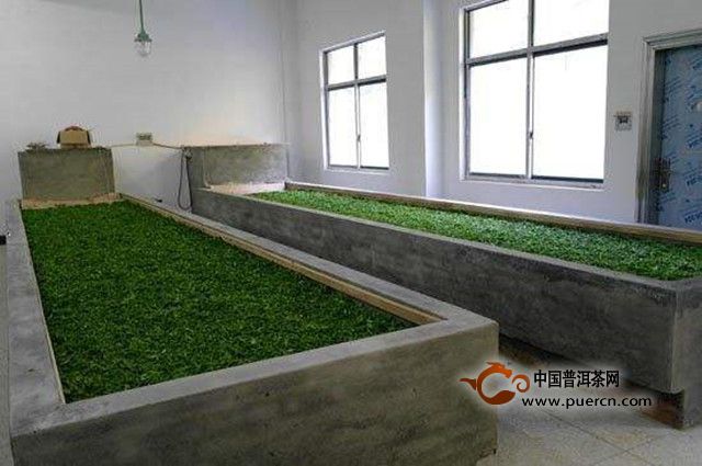 南安石亭绿的制作工艺