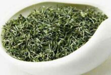 喝狗牯脑茶对身体有什么好处-茗扬网