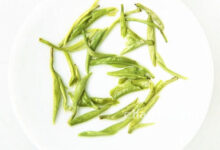 狗牯脑茶的冲泡方法，7步泡出好喝的狗牯脑茶-茗扬网