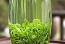 云雾毛尖绿茶如何泡好喝 云雾毛尖绿茶的冲泡方法-茗扬网