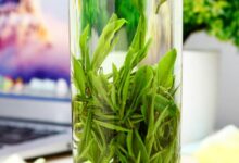 云雾毛尖的功效与作用 喝云雾毛尖的的好处-茗扬网