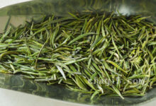 云雾毛尖的功效与作用 云雾毛尖的禁忌事项-茗扬网