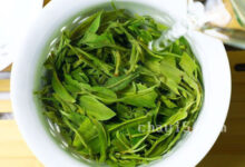 云雾毛尖的冲泡方法，7步泡出好喝的云雾毛尖-茗扬网