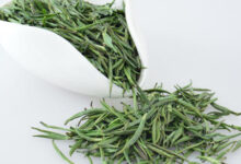 云雾毛尖属于什么茶 云雾毛尖的功效与作用-茗扬网