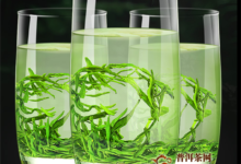 喝云雾毛尖功效-茗扬网