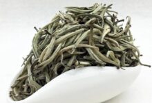 云南白毫的功效与禁忌事项-茗扬网