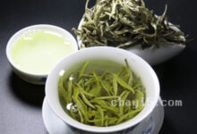 云南白毫的冲泡方法，7步泡出好喝的云南白毫-茗扬网