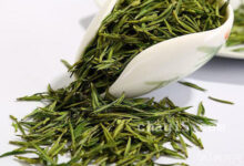 五盖山米茶的功效与作用 五盖山米茶的禁忌事项-茗扬网