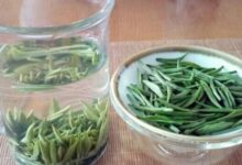 桐城小花有什么功效 桐城小花怎么保存-茗扬网