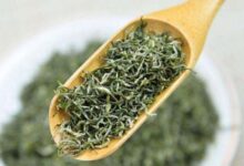 前峰雪莲的功效与禁忌事项-茗扬网