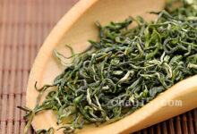 前峰雪莲的功效与作用 前峰雪莲的禁忌事项-茗扬网