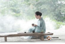 前峰雪莲的功效与作用-茗扬网