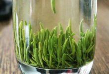 前峰雪莲茶功效-茗扬网