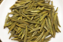 霍山黄芽适合什么人喝？爱美的女士不容错过！-茗扬网