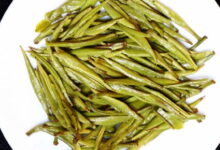 君山银针的功效与作用 产地是哪里-茗扬网