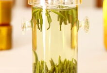 君山银针怎么采摘 怎么保存-茗扬网