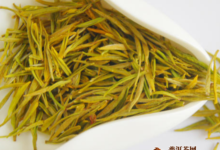 君山银针的加工工艺,君山银针的采摘-茗扬网