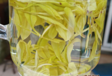 君山银针是半发酵吗？君山银针——轻发酵茶类！-茗扬网