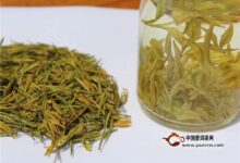 平阳黄汤茶的功效-茗扬网