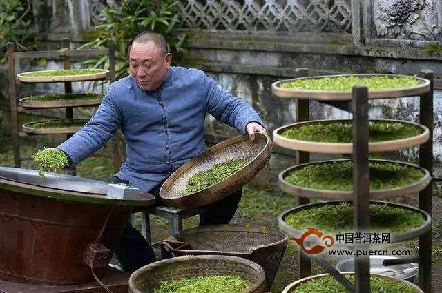 平阳黄汤茶产地
