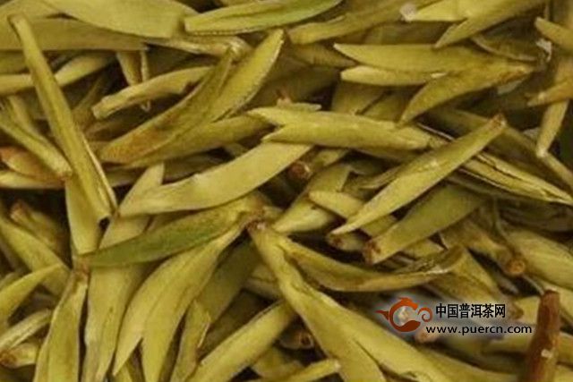 平阳黄汤属于不发酵茶吗