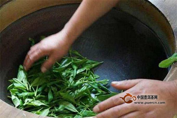 平阳黄汤属于不发酵茶吗