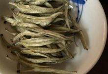 广东大叶青茶属于什么茶 广东大叶青茶的功效与作用-茗扬网