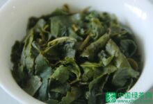 广东大叶青茶的冲泡方法-茗扬网