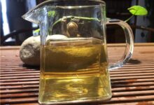 广东大叶青有什么品质特点？-茗扬网