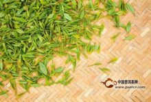 沩江白毛尖的制作工艺-茗扬网